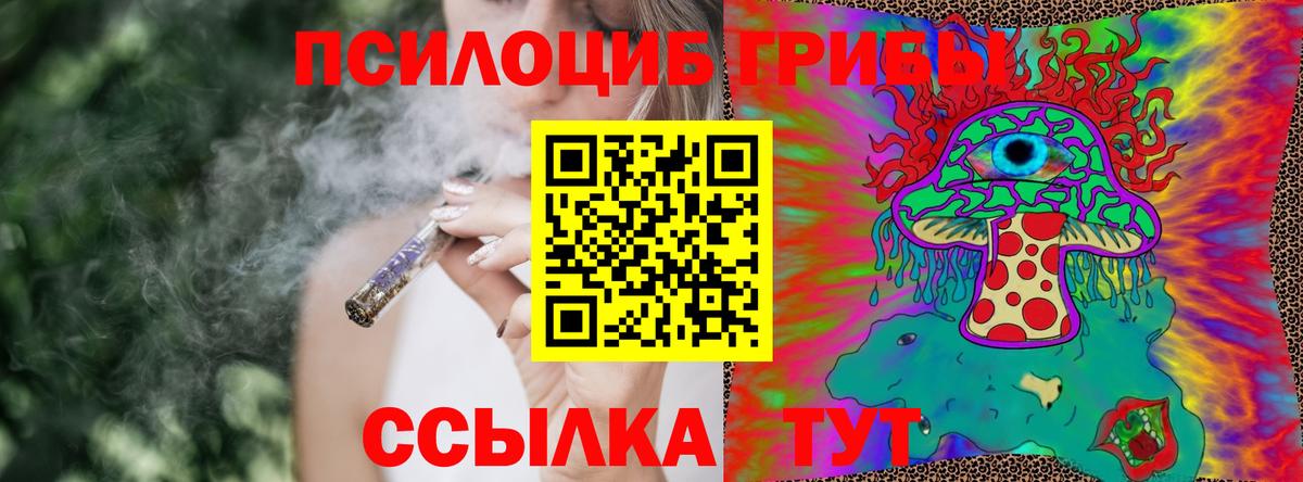 Псилоцибиновые грибы прущие грибы  Вход с VPN  Галлюциногенные грибы Magic Shrooms  Зеленогорск 